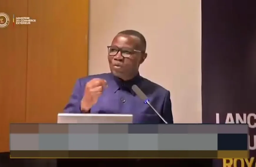 Diplomatie économique : la RDC et le…