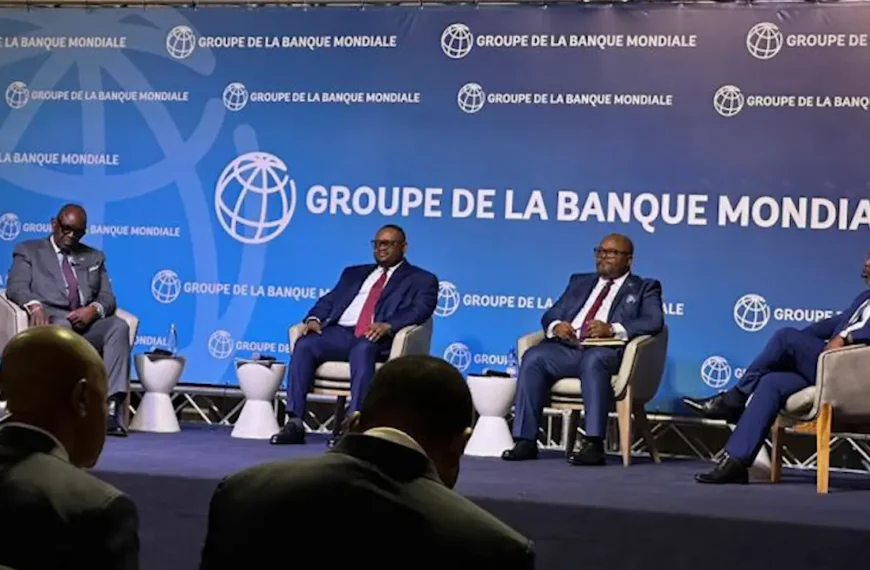 RDC : 5,3 milliards de dollars de pertes dans les…